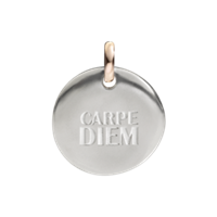 Charm Queriot Monete in Argento F14A03S9214